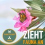 Rosa Oleander Blüte mit Schmetterling. Kübelpflanze zieht Bienen und Schmetterlinge an.