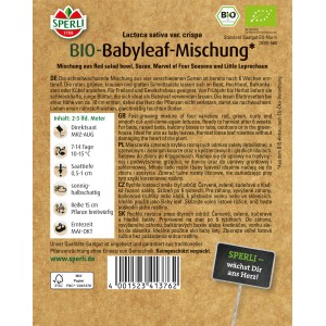 Sperli Bio Babyleafsalat Samen: Mischung aus roten, grünen, krausen und glatten Blättern.