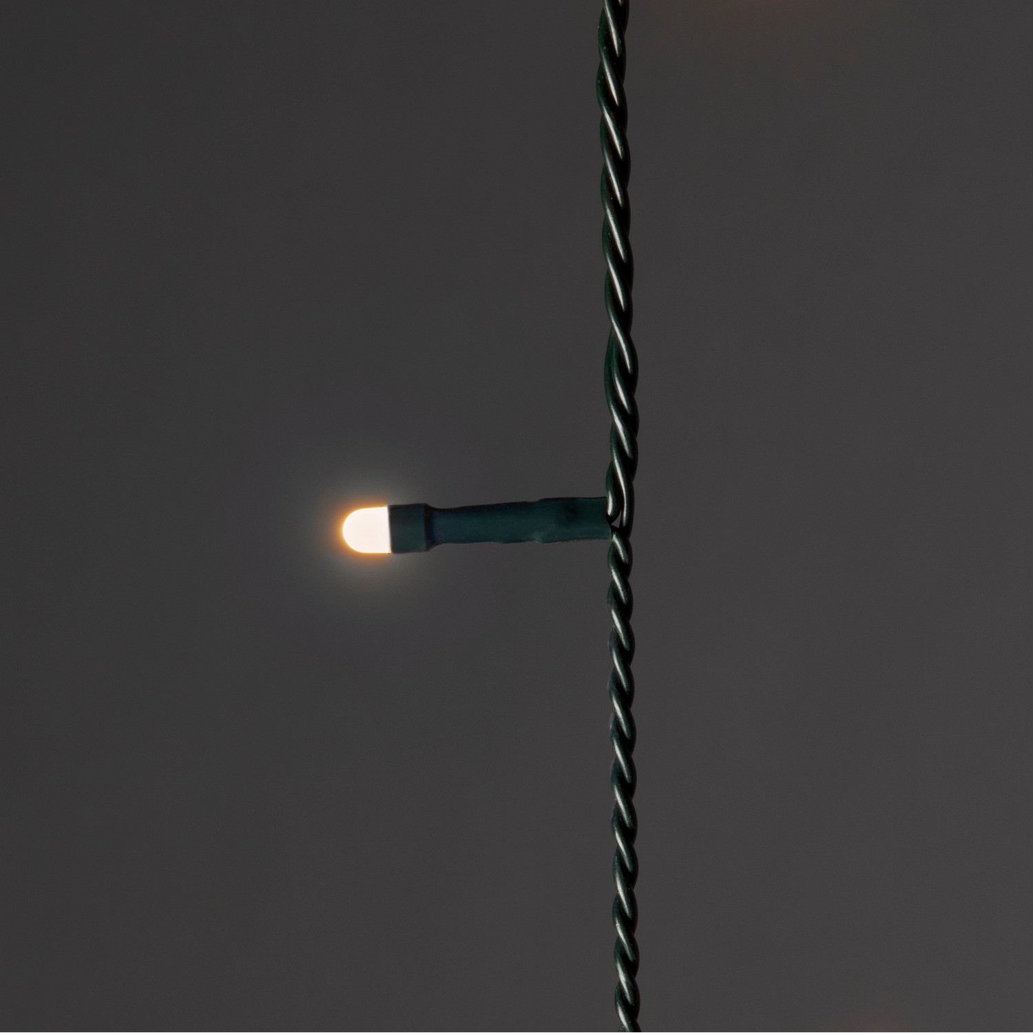 Detailaufnahme: Konstsmide LED Baummantel, bernsteinfarbene Dioden an grüner Lichterkette.