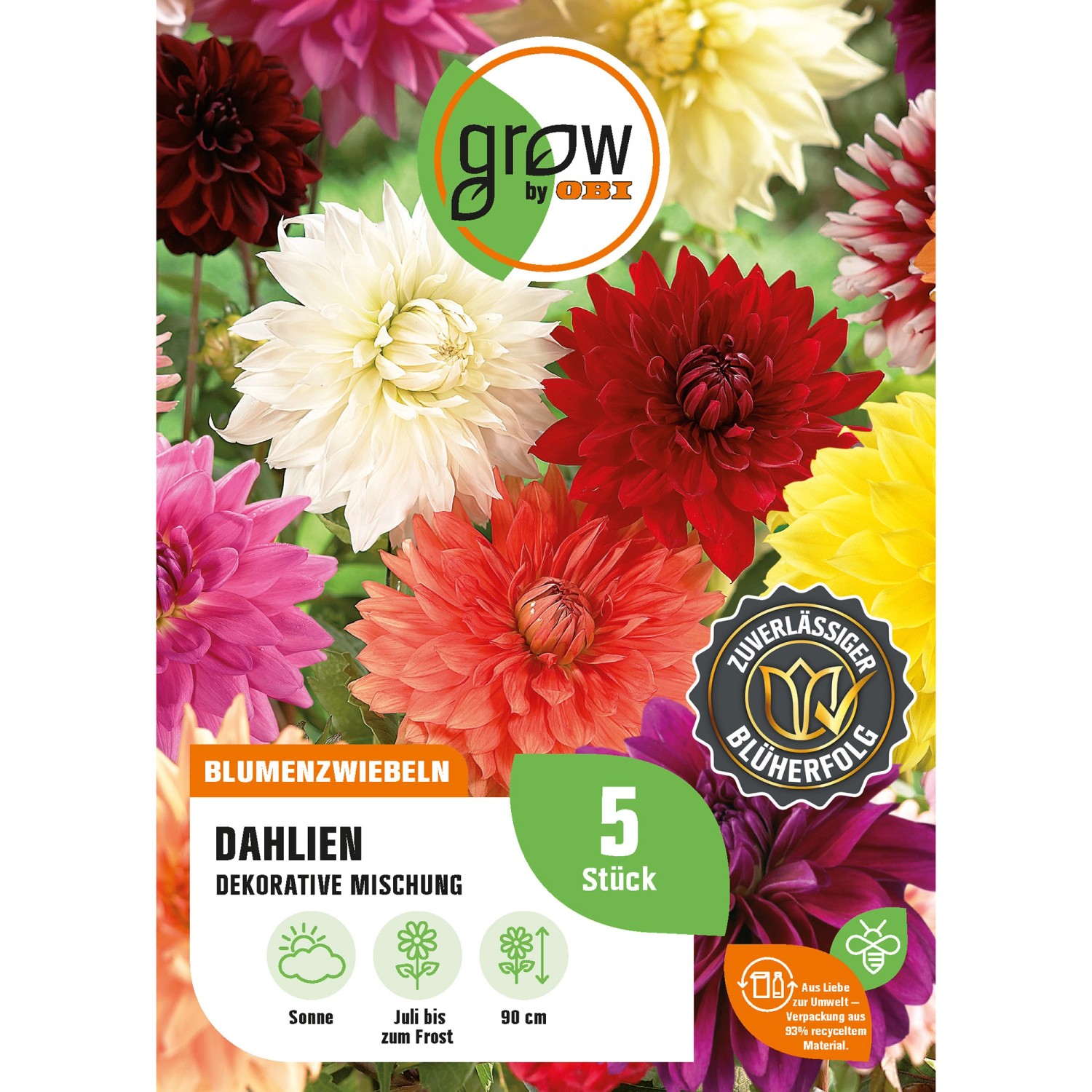 GROW by OBI Dahlien Mischung Höhe ca. 90 cm Dahlia decorative günstig online kaufen