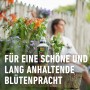 Compo Complete Pflanzendünger 1 l Flasche für üppige Blütenpracht im Garten.