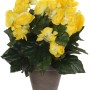 Gelbe Kunstblume Begonie im Terrakotta-Topf, Höhe 30 cm, Durchmesser 25 cm.