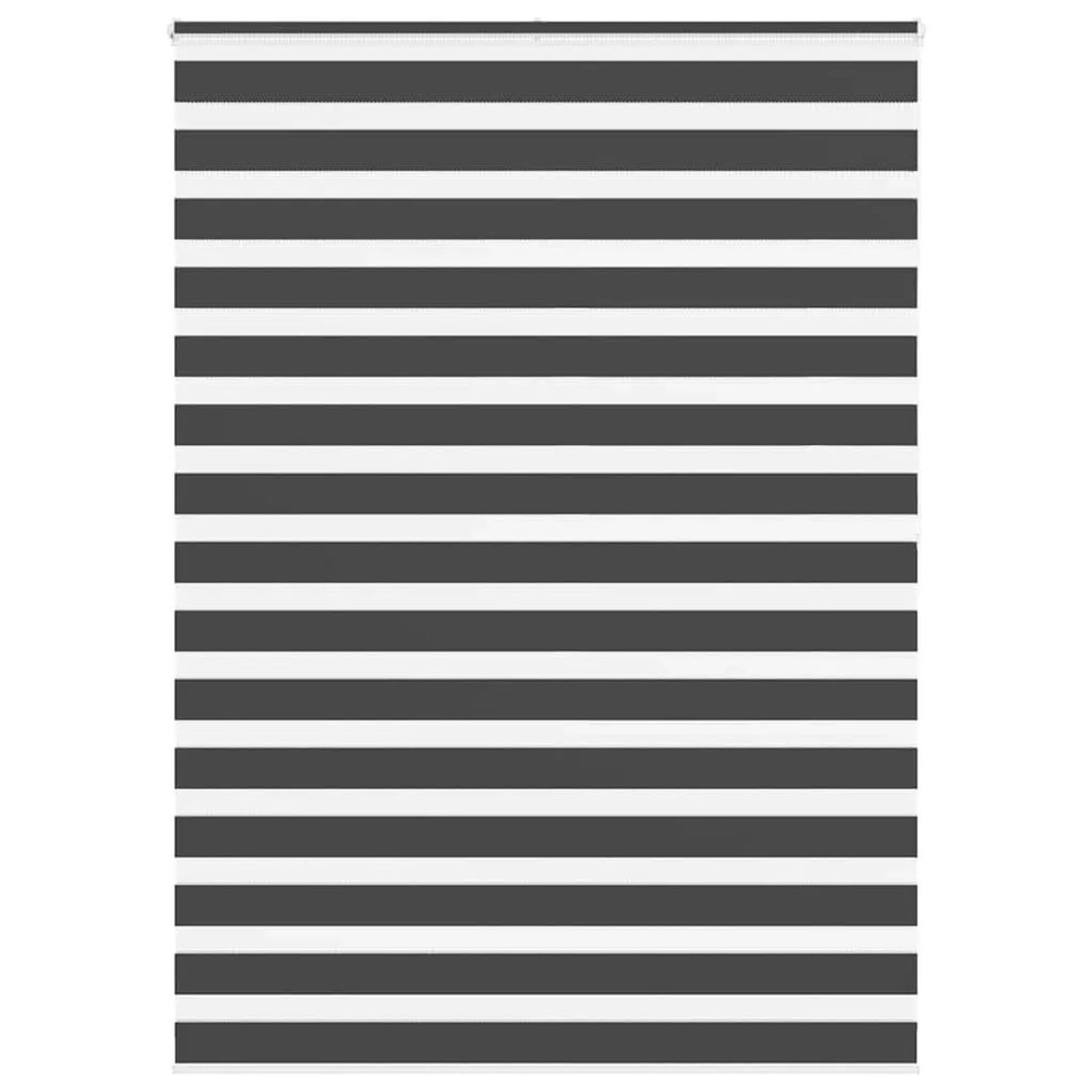 vidaXL Doppelrollo Schwarz 155x200 cm Stoffbreite 150,9 cm Polyester 401427 günstig online kaufen