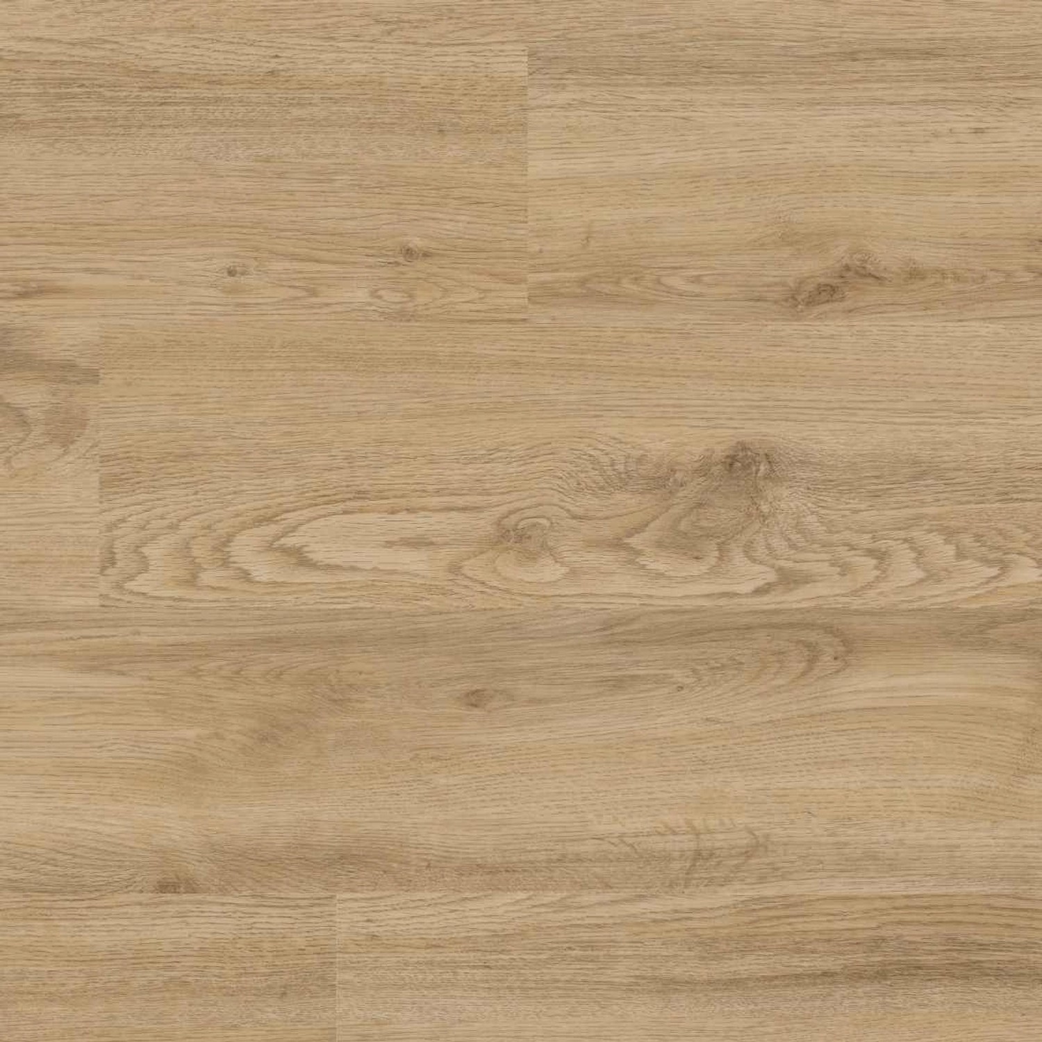 Project Floors Klebe-Vinylboden Home/30 PW 3240/30 günstig online kaufen