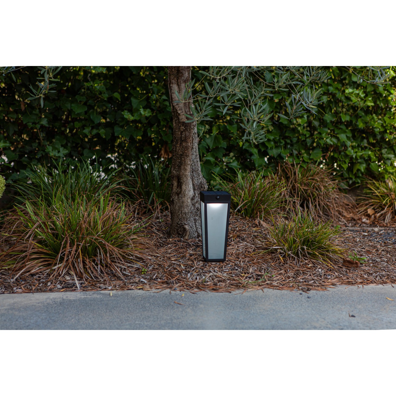 Moderne Lutec LED Solar Wegeleuchte Dias, mattschwarz, neben einem Baum im Garten.