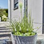 Heissner Solar-Wassergarten Aquatopia mit Bepflanzung als Teichdeko auf Terrasse.