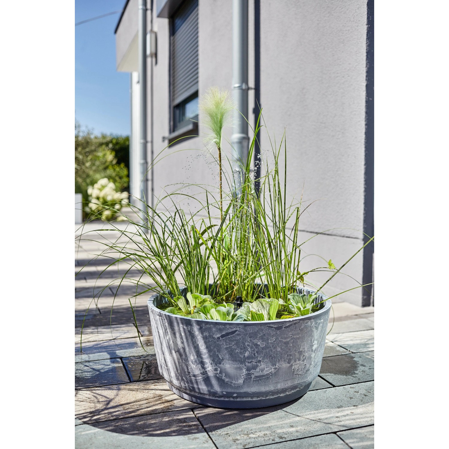 Heissner Solar-Wassergarten Aquatopia mit Bepflanzung als Teichdeko auf Terrasse.