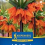 Kiepenkerl Blumenzwiebel Profi-Line Kaiserkrone Orange Beauty 1 Stück_2