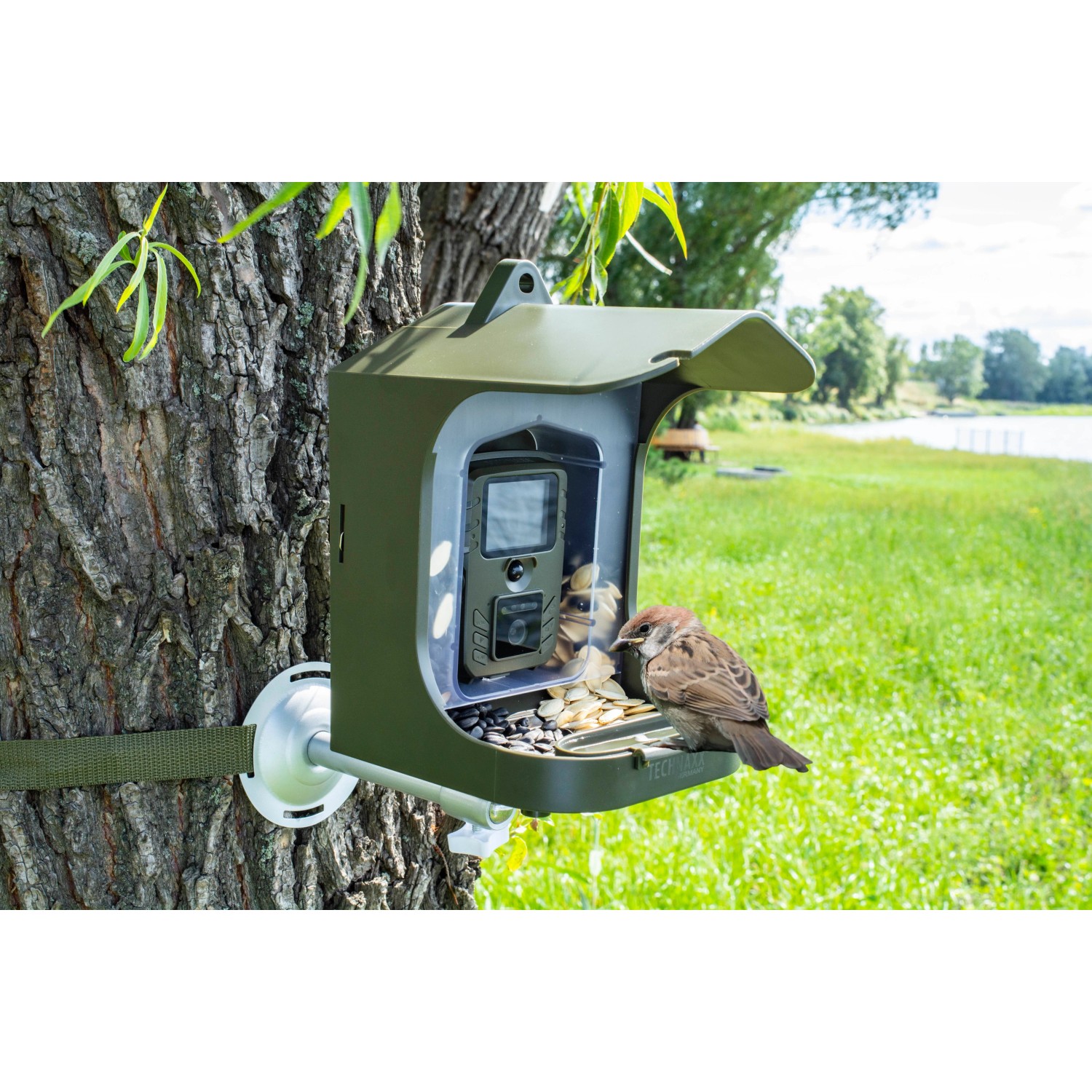 Technaxx FullHD Birdcam TX-165 am Baum mit Spatz. Kameraüberwachung für Tierbeobachtung.