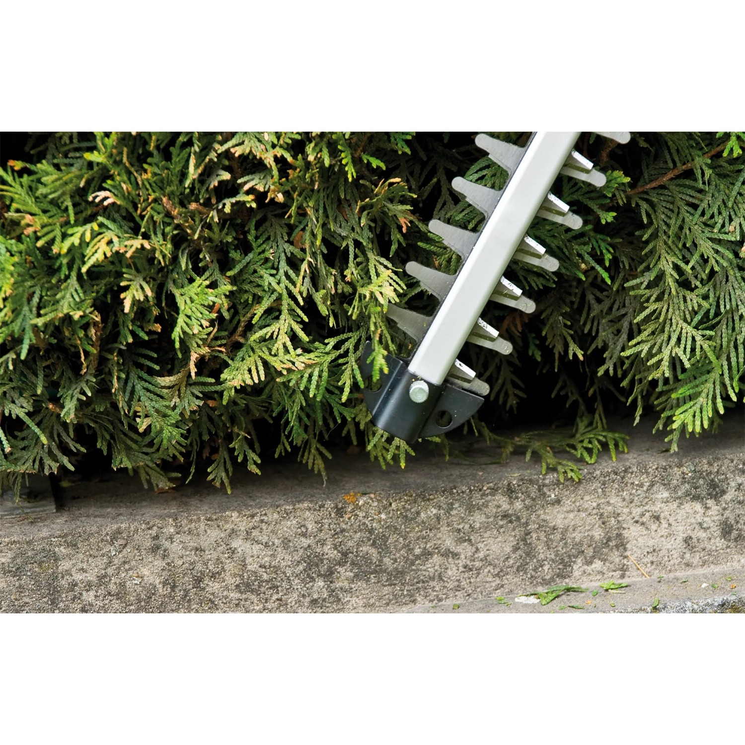 Einhell Akku-Heckenschere GC-CH 1855/1 Li Kit beim Heckenschnitt, Messer im Detail.