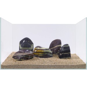 Aquarium mit Purple Jade Rock Dekosteinen (0,8-1,2 kg) mit jadegrünen Adern.