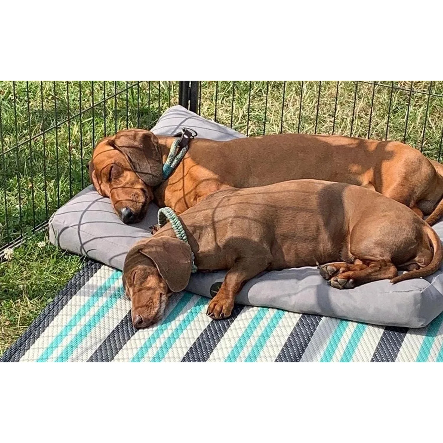 Zwei schlafende Hunde auf grauem Petsation LASSE Hundekissen (110cm) im Freien.