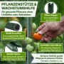TTL GARDEN Rankstäbe 90cm 11mm 5er Set Kunststoffbeschichtet Grün Pflanzstäbe Rankhilfe Für Tomaten Bohnen Gurken Blumen Gewächshaus_3