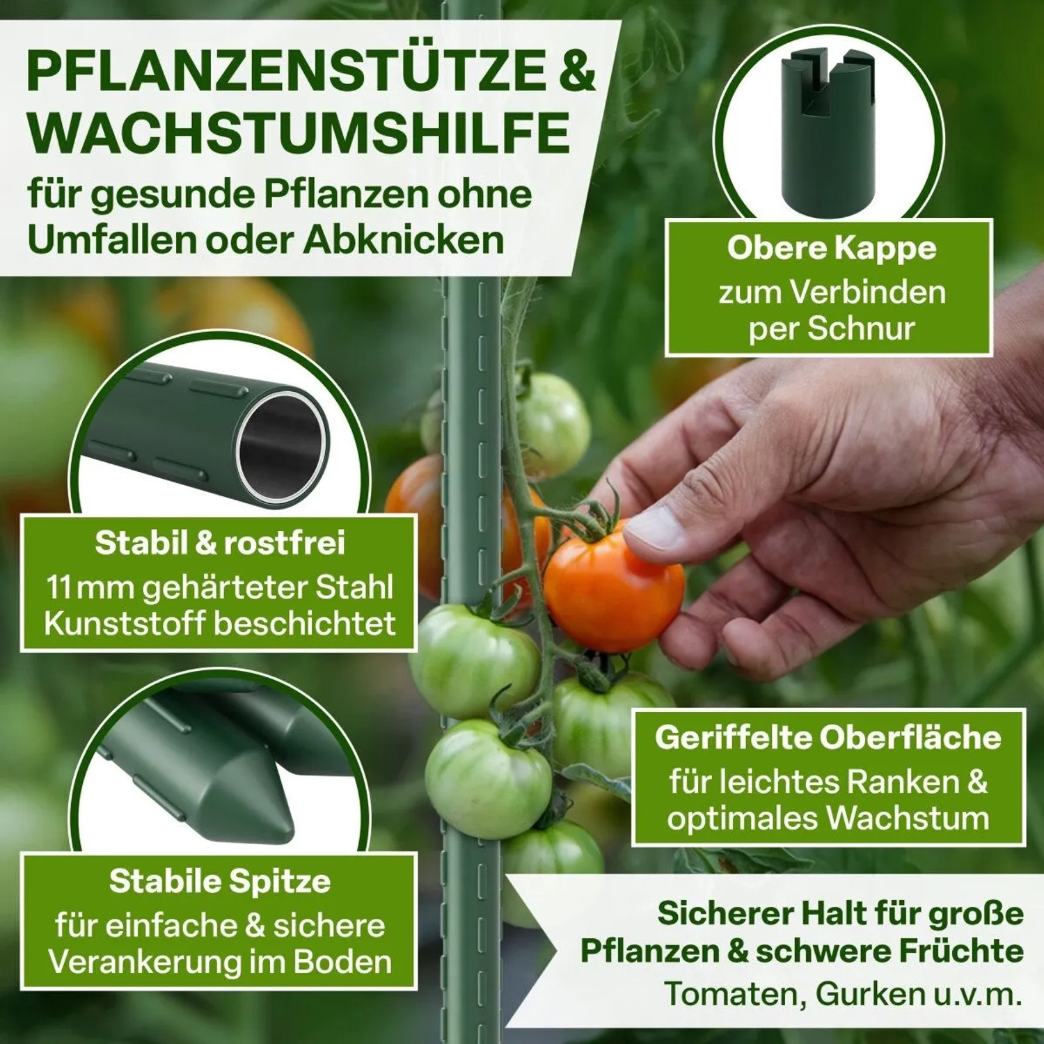 TTL GARDEN Rankstäbe 90cm 11mm 5er Set Kunststoffbeschichtet Grün Pflanzstäbe Rankhilfe Für Tomaten Bohnen Gurken Blumen Gewächshaus_3