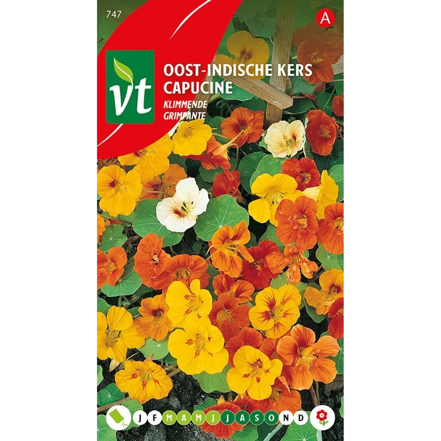 Kapuzinerkresse Rankend Saatgut ca. 3,5 g Kletternd
