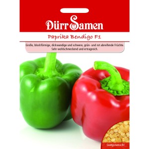 Dürr Samen Paprika Bendigo F1: Saatguttütchen mit grüner und roter Paprika.