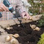 Westfalia Pflanzbohrer-Set im Einsatz: Löcher bohren zum Einsetzen von Blumenzwiebeln.