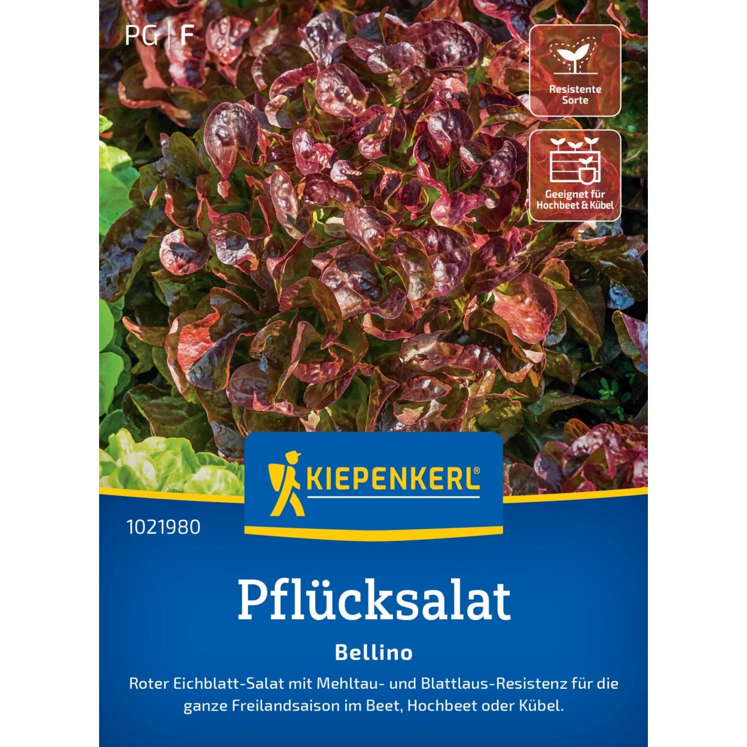 Kiepenkerl Pflücksalat "Bellino"