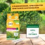 Solabiol Buchsbaumzünslerfalle Nachfüllpackung mit Pheromongel-Spritzen zur Befallskontrolle von April bis Oktober.