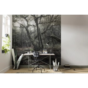 Vlies Fototapete „Das Model“ (250x280 cm) mit Waldmotiv im Arbeitszimmer.