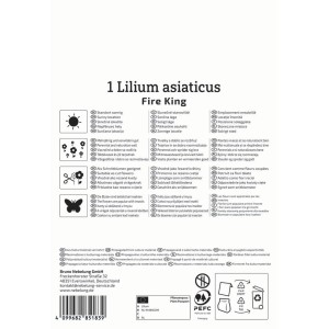 Verpackung einer Asiatischen Lilie 'Fire King' Blumenzwiebel von Kiepenkerl, orangerote Blüte.