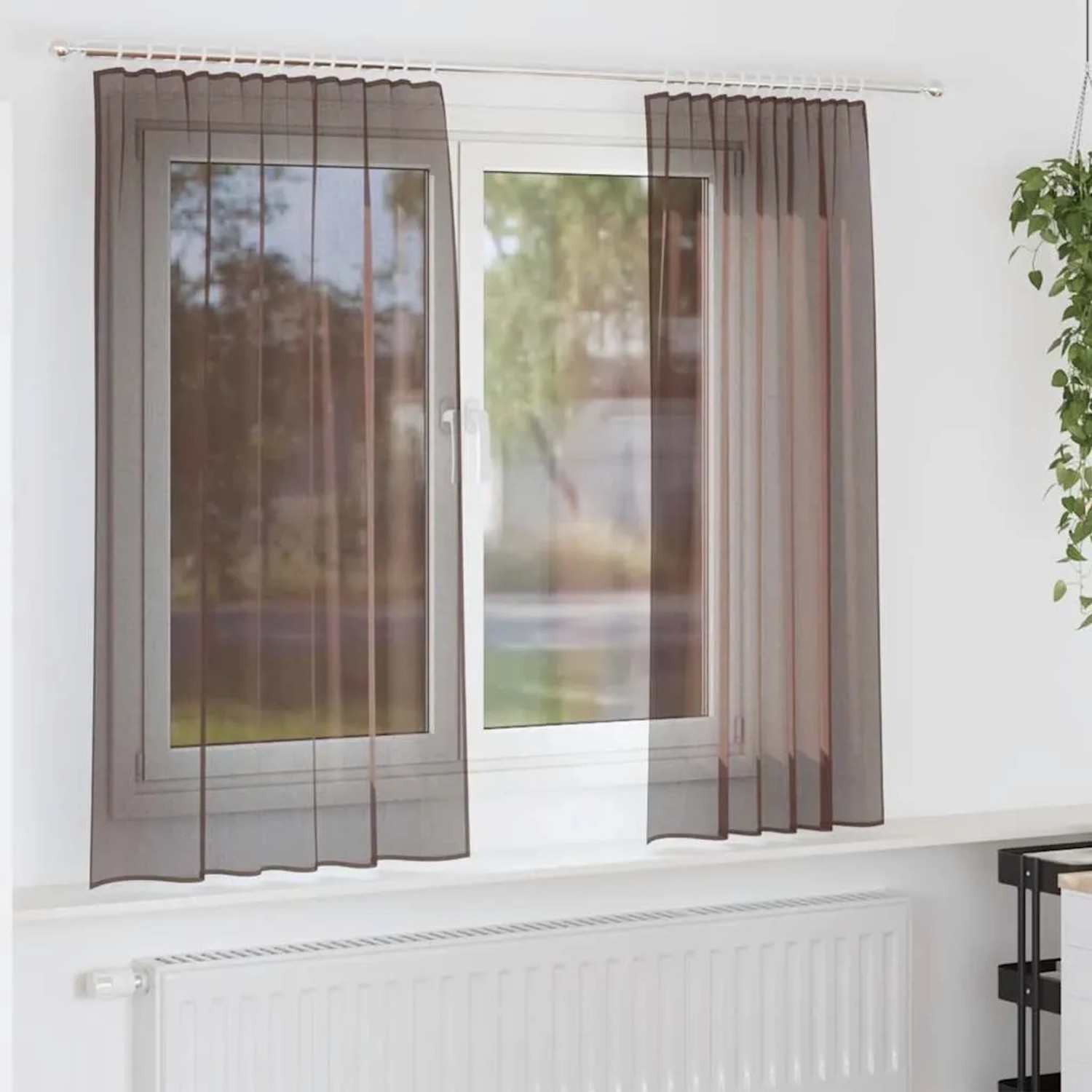 Zwei braune, halbtransparente Voile Vorhänge mit Stangentaschen am Fenster. Perfekt für helle Räume.