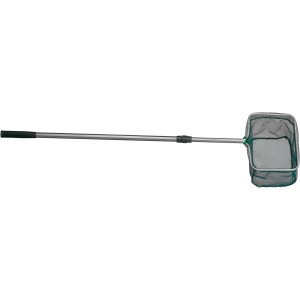 Westline Teichkescher, 150 cm, grün, mit Teleskopstab und feinem Netz.