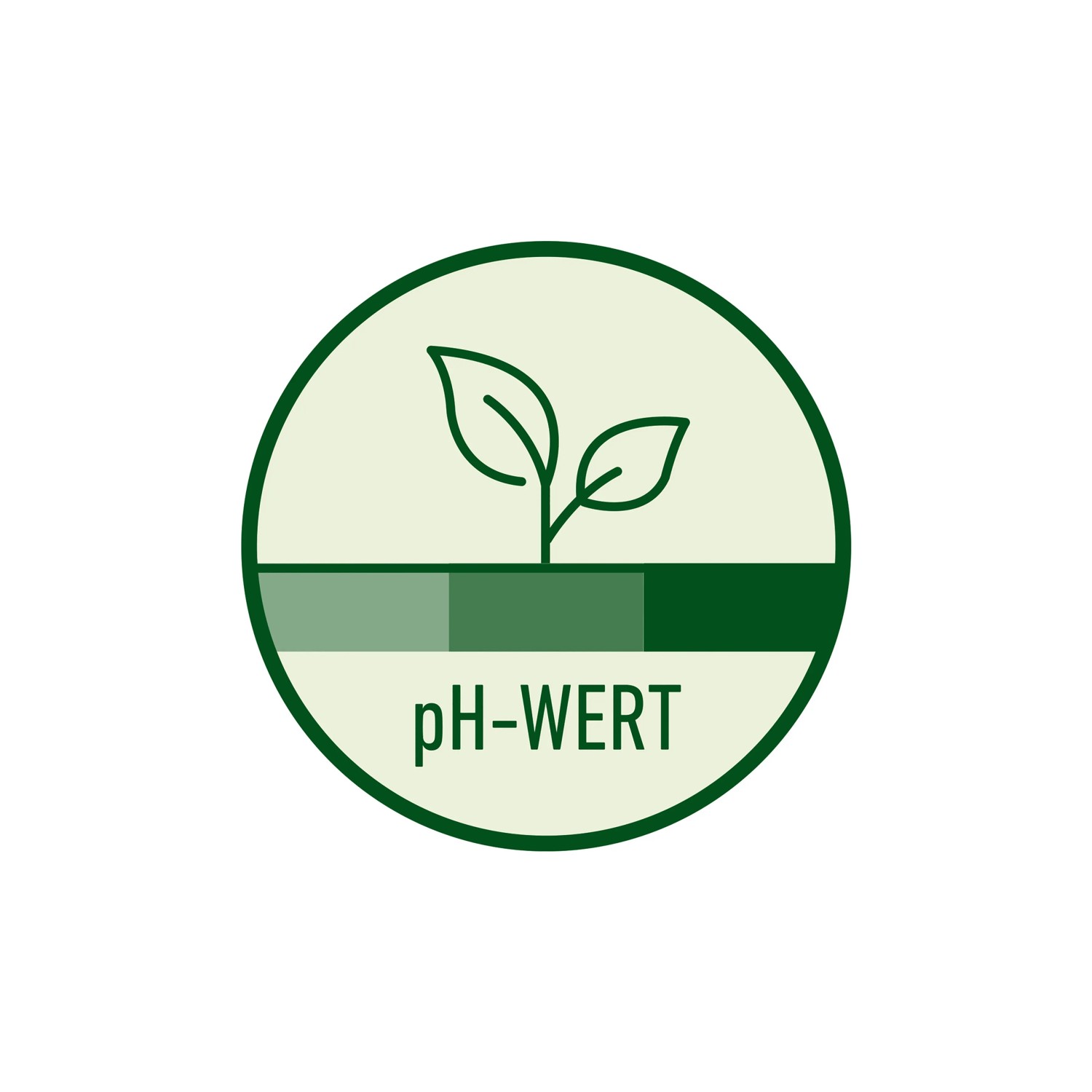 eisenkraut saatgut BIO Saatgut Hohes Eisenkraut (Verbena bonariensis) – Biogartenladen main image 1