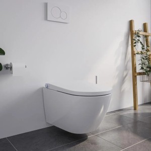 Bernstein Dusch-WC Basic 1102 Weiß Komplettset mit Gesäß- und Ladydusche