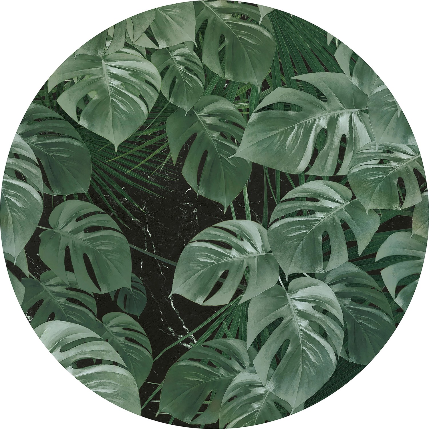 Komar Fototapete Novel Monstera D: ca. 125 cm günstig online kaufen