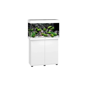 Weißes Juwel LED Aquarium Rio 125 mit Unterschrank, befüllt mit Fischen und Pflanzen.