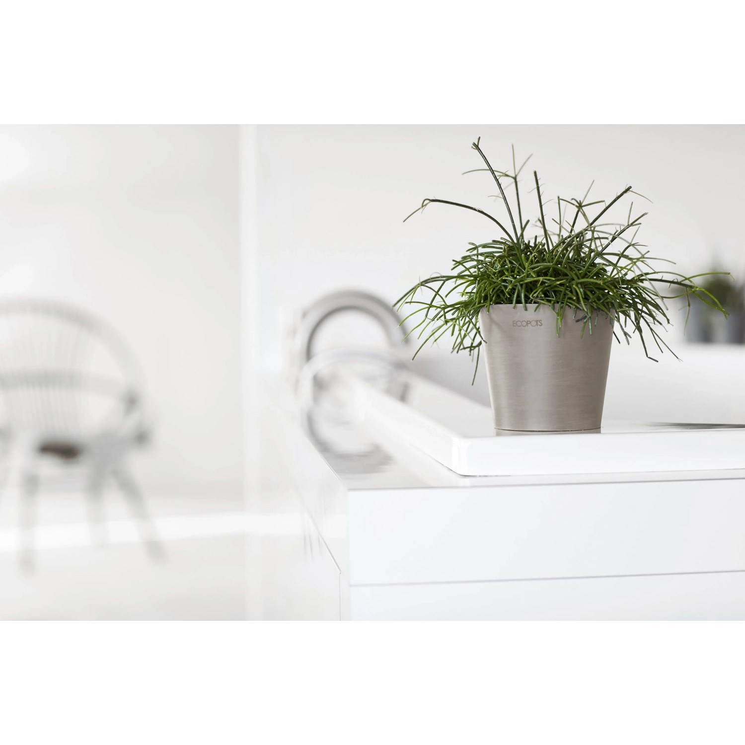 Ecopots Amsterdam Mini Pflanztopf in Taupe mit grüner Pflanze auf weißem Tisch.
