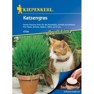 Kiepenkerl Katzengras im Topf mit Katze, Saatscheibe sichtbar. Frisches Grün für die Katze.