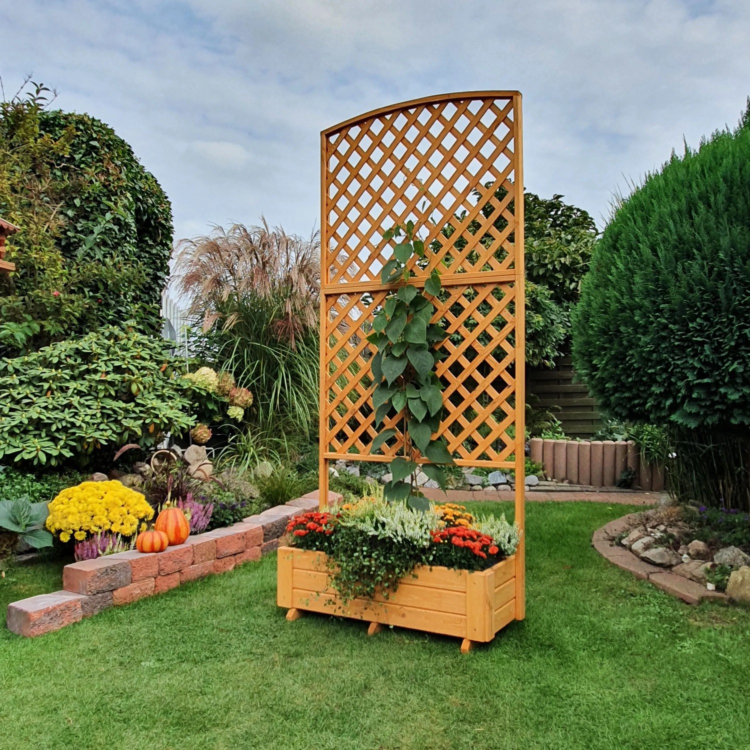 Rankkasten Flora 205 cm aus Kiefernholz mit Rankhilfe und Bepflanzung im Garten.