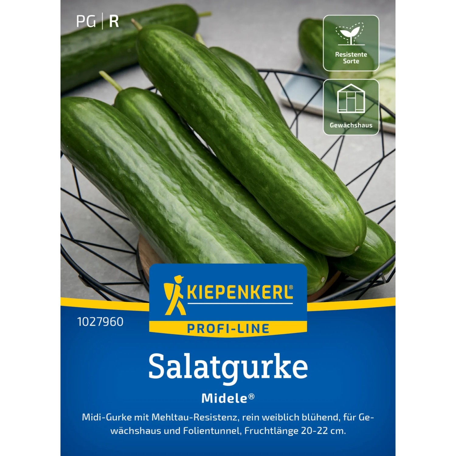 Kiepenkerl Salatgurke "Midele" F1-Hybride