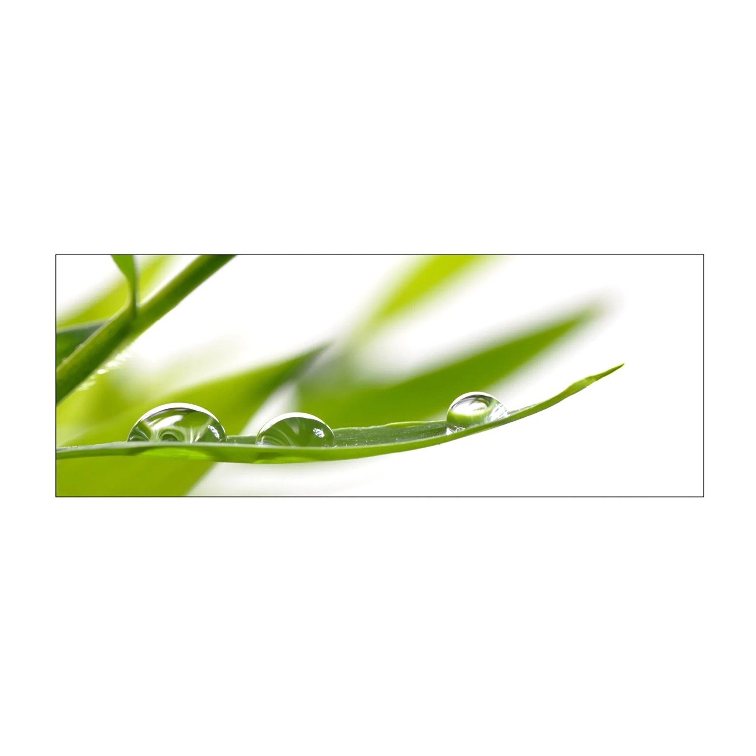 MySpotti Küchenrückwand Profix Cucina Dew Drop 160 x 60 cm Grasgrün