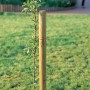 Druckimprägnierter Baumpfahl (Ø 6 cm x 150 cm) stützt jungen Baum im Garten.