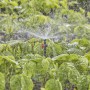 Gardena Sprühdüse 360° im Einsatz: Bewässerung von Gemüsebeeten mit Micro-Drip-System, 5 Stück.