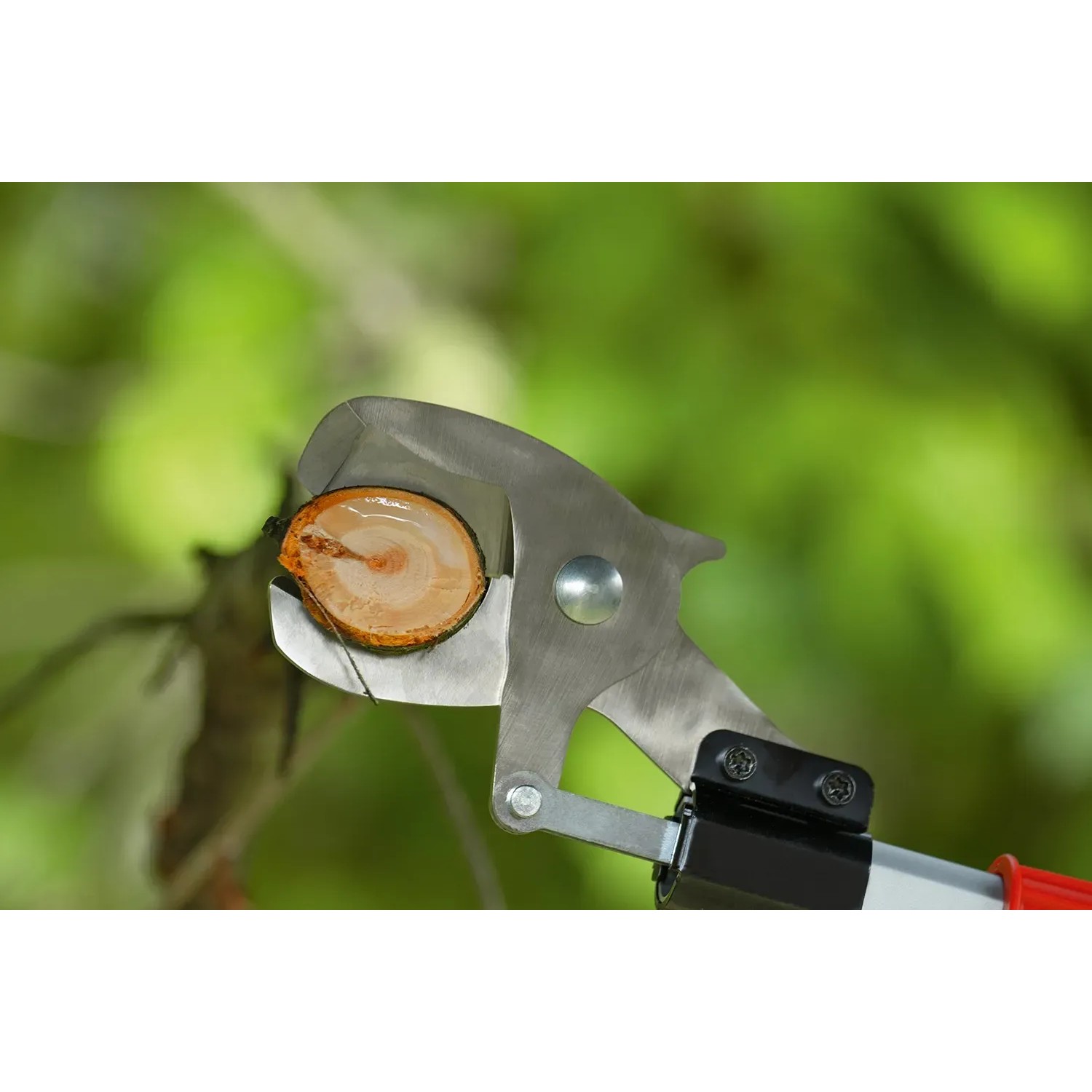 Bosch Akku-Baumschere Advanced Prune schneidet Ast. Gartenschere mit Verlängerung.
