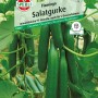 Sperli Salatgurken Flamingo F1-Hybride, Gemüsesamen für hohe Erträge und Resistenz.