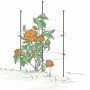 Bellissa Pflanzstab Premium 130 cm verzinkt mit orangefarbenen Blüten in Rankhilfe.