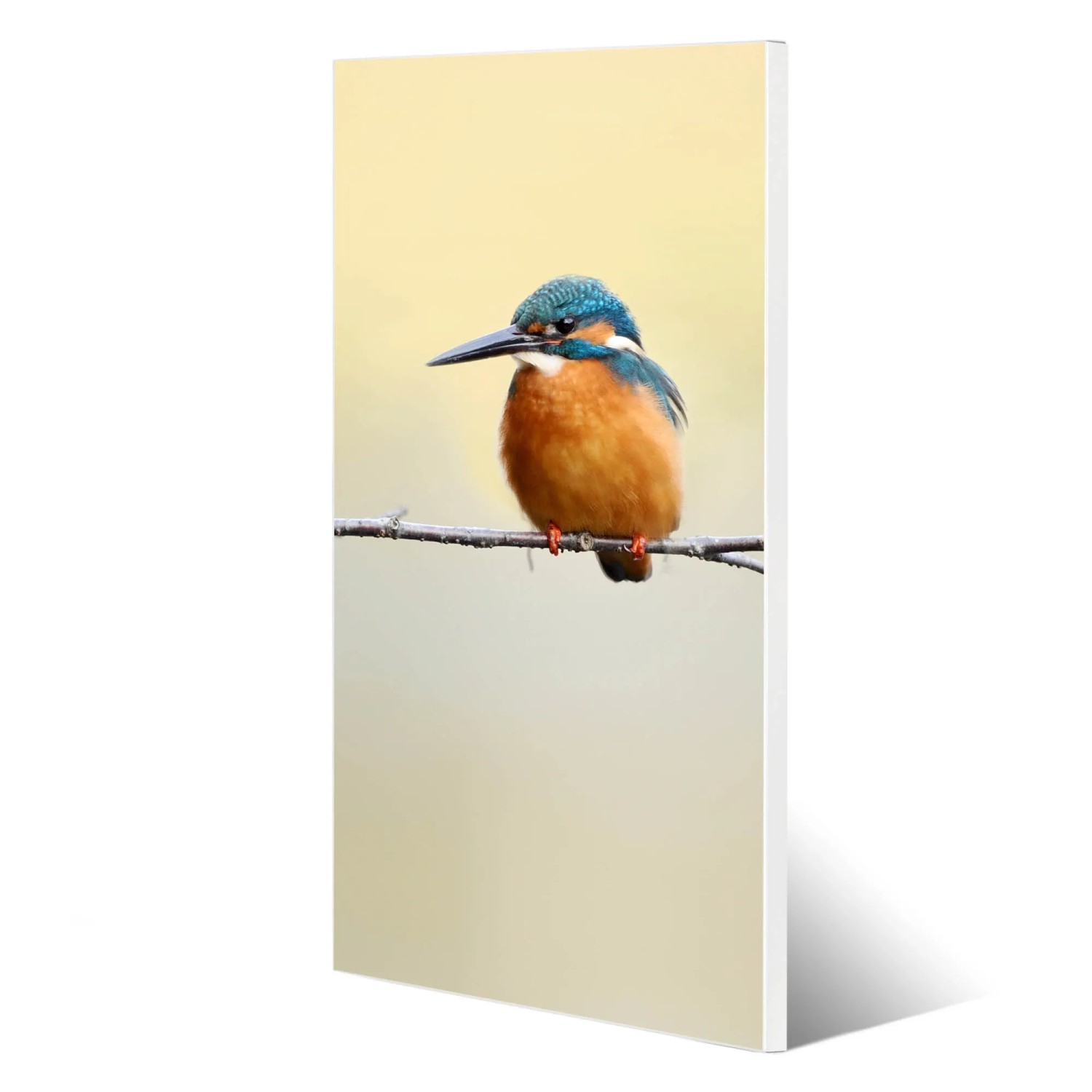 Banjado Magnettafel 37x78cm mit Vogel-Motiv 'Pause'. Metall-Magnetwand für Notizen und Fotos.