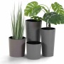 Siena Garden Pflanzgefäße Eco Locon, graue Pflanzsäulen in verschiedenen Größen mit Pflanzen.