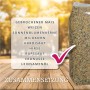 MeinWildvogel Vogelfutter VITAL 30kg: Ganzjahresfutter mit Mais, Sonnenblumenkernen, Weizen, Hirse, Milo, Rapssaat, Erdnüssen und Leinsamenöl.
