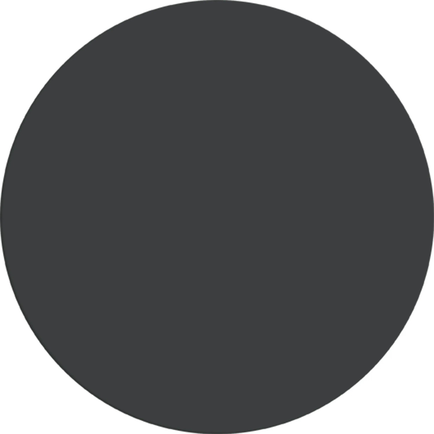 Farbfeld: Alpina Wandfarbe Pure Farben Anthrazit, matte Innenfarbe.