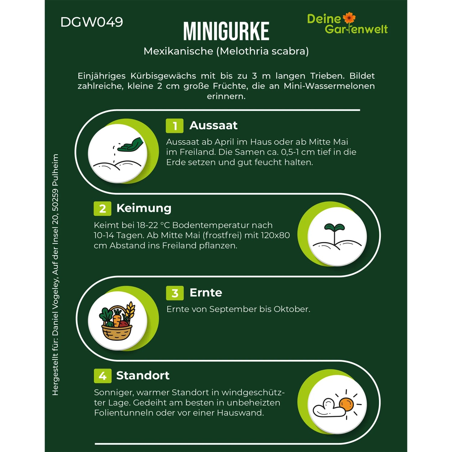 Infografik: Anbauanleitung für Mexikanische Minigurke Samen. Zeigt Aussaat, Keimung, Ernte und Standort des Fruchtgemüses.