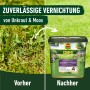 Compo Rasendünger 4in1: Vorher/Nachher-Vergleich von Rasen mit/ohne Unkraut und Moos. 9kg für 300m².