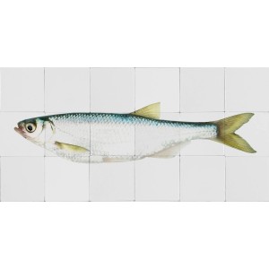 ESTAhome Wandtattoo Fisch in Gelb und Blau, 97x48,5cm. Dekorativer Wandaufkleber.