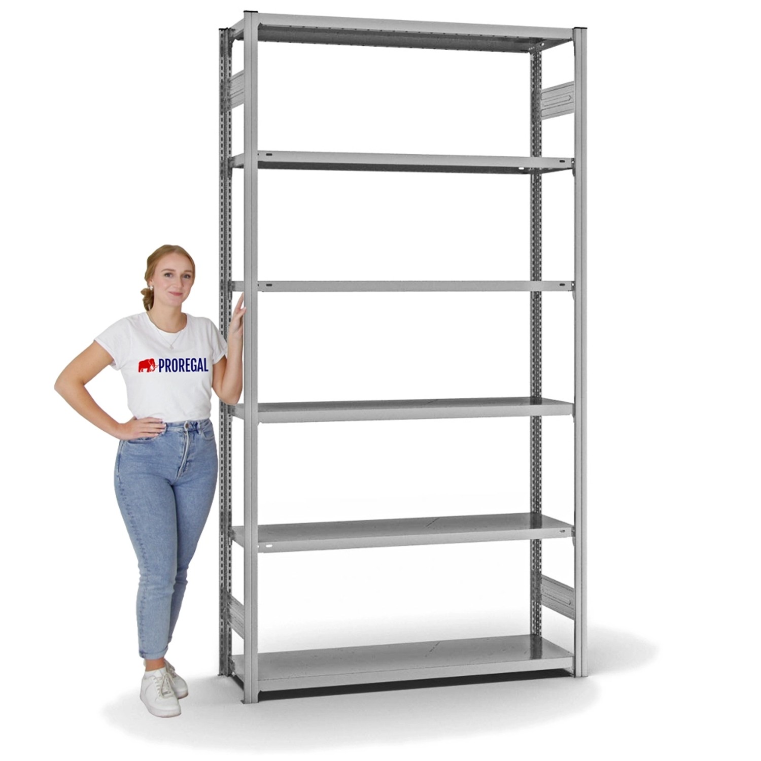 PROREGAL Fachbodenregal, Stecksystem, verzinkt, 6 Ebenen, beidseitig nutzbar.
