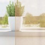 vidaXL Voile Vorhänge mit Stangentaschen 2 Stk Sandfarbe 4102220_3
